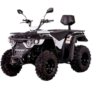 Linhai ATV M210 2x4 motor 4T 177cc quad