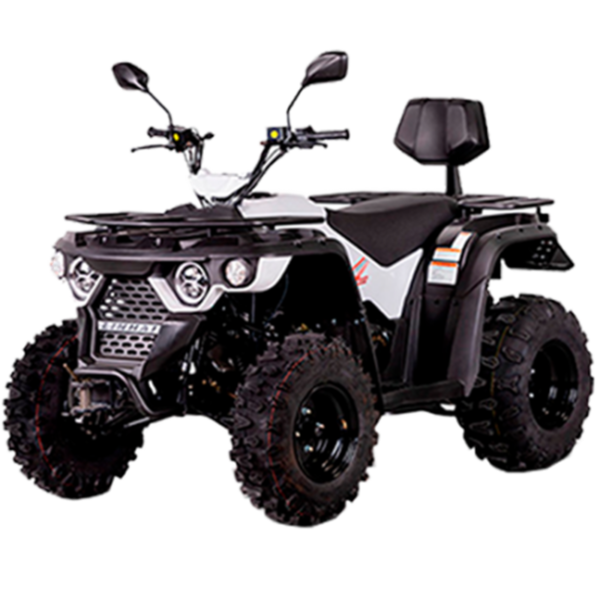 Linhai ATV M210 2x4 motor 4T 177cc quad