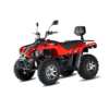 Linhai ATV Z210 2x4 motor 4T 177cc quad